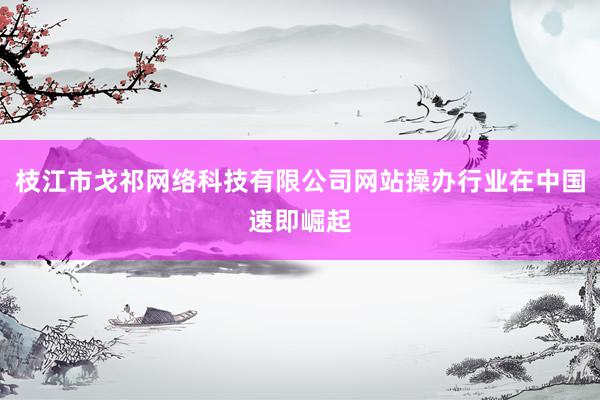 枝江市戈祁网络科技有限公司网站操办行业在中国速即崛起