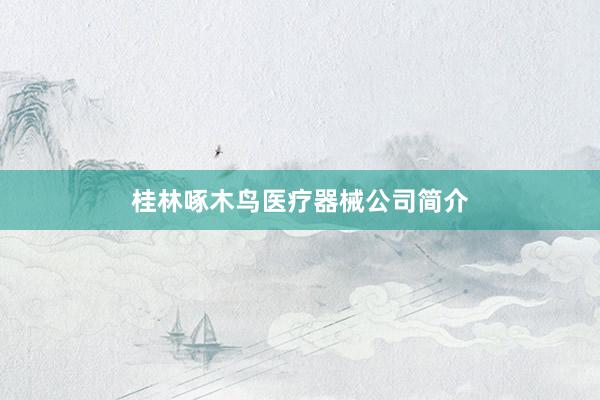 桂林啄木鸟医疗器械公司简介